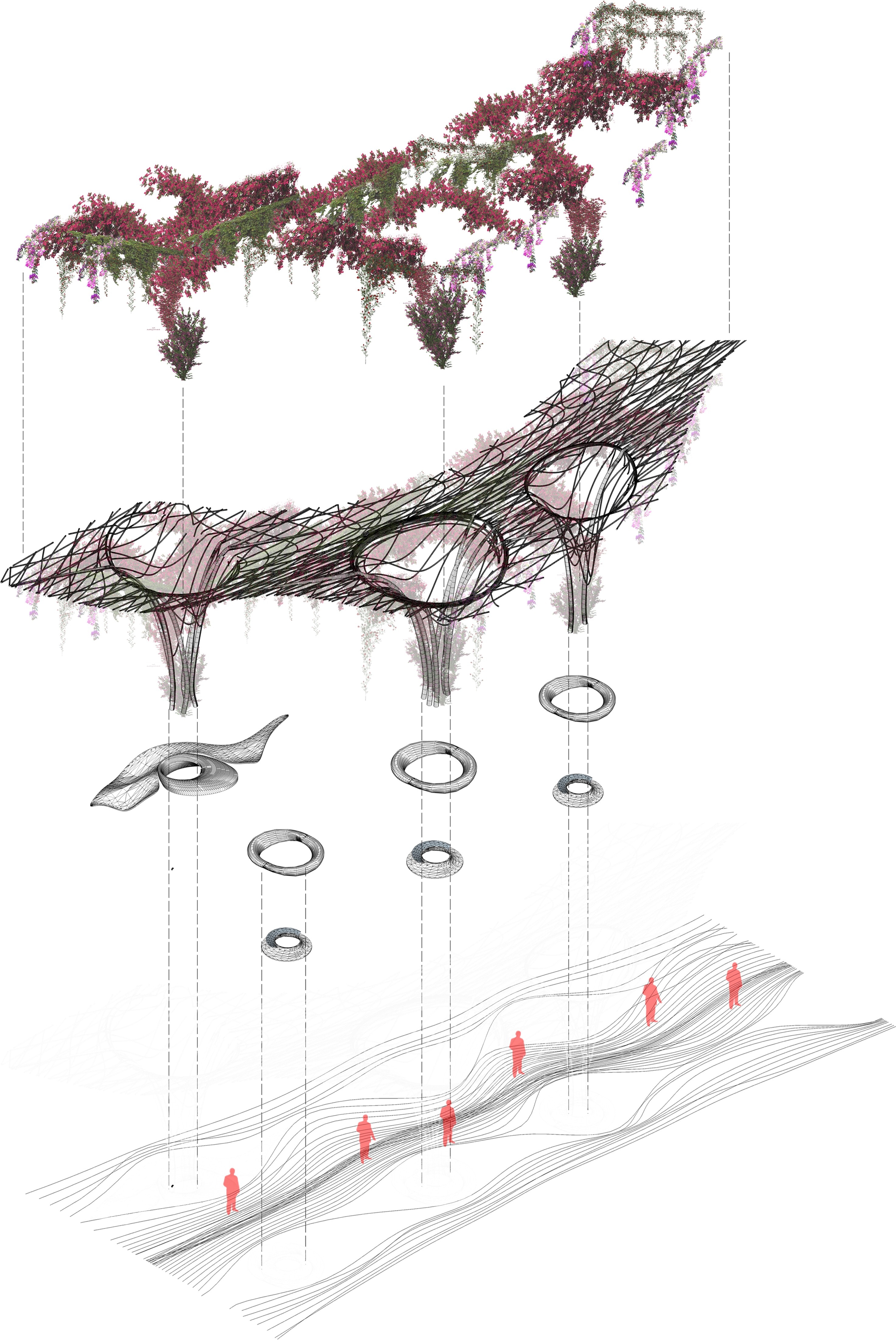 15_Competition_Hypertree_Planimetry_Kevin Abanto
